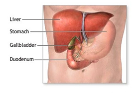 Cost Cholecystectomy Gall Bladder, Cholecystectomy Gall Bladder Removal Surgery, Laparoscopic Cholecystectomy