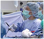 India Surgery Minimal Access, India Cost Minimal Access Surgery, Minimal Access