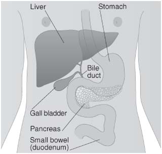 Bile Duct Cancer Treatment India,Bile Duct Diagnosis,Bile Duct Cancer, Bile Duct Cancer Treatment