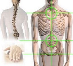 Types Of Spine Surgery India, Best Spine Surgery In India, Spine Surgery procedure, India Hospital Tour, Back Surgery India